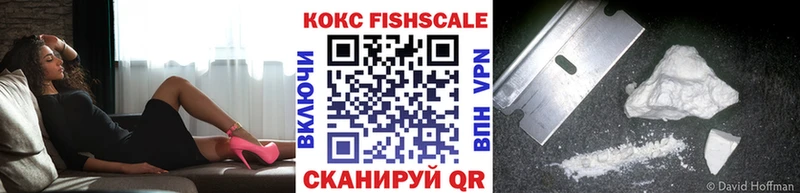Купить закладки  Ивдель  Кокаин Fish Scale 