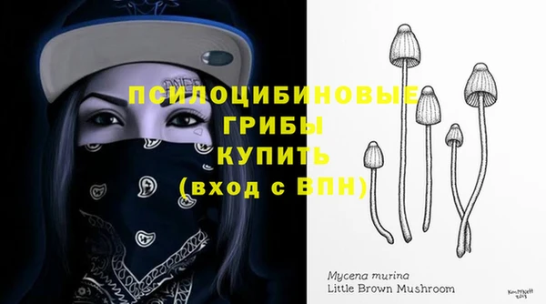 ALPHA-PVP Заволжье