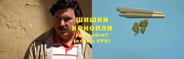 мдпв Заволжск