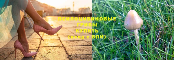 синтетический гашиш Заводоуковск
